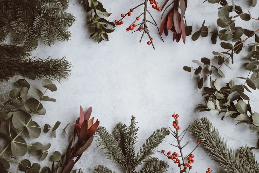 Evergreen branches, eucalyptus, and red berries on a pale background